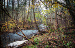 The wind of change / ***