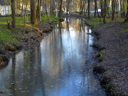 Premonition of winter / ***