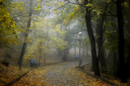 In the fall the park ... / ***