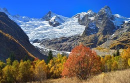 Autumn in the mountains / ***
