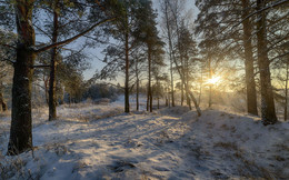 Frost and sun - a wonderful day! / ***