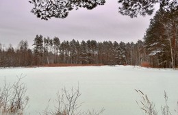 The snowdrift / ***