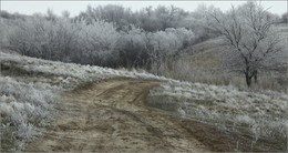 Country road / ***