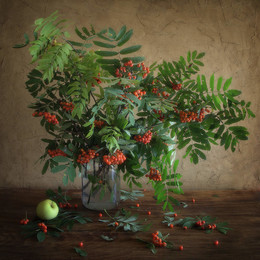 Still-life with a mountain ash / 2016