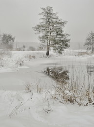 Two loneliness / ***