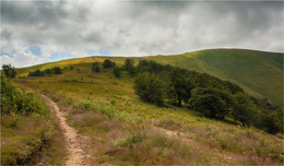 Carpathians / ***