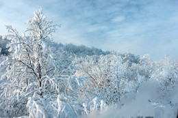 Frosty patterns / ***