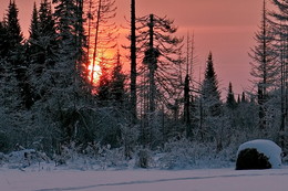Sunset / ***