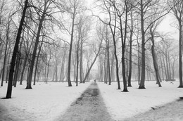 &nbsp; / ................