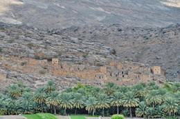 Ghosts of the past / ***