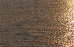 reflections on the water / ***