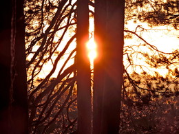 January sunset / ***