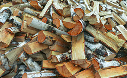 firewood / ***