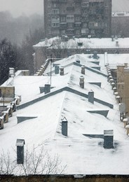 roof / ***