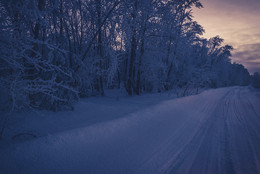 Homeward Bound ... / ***
