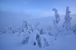 Finland / ***