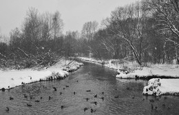 In a quiet backwater / ***