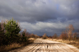 Autumn road / ***