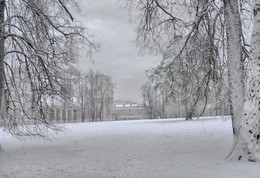 Winter day in the park / ***