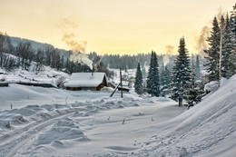 frosty morning / ***