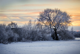 Evening / ***