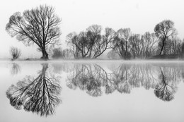 Spiegelung in B&amp;W / Morgens bei Nebel an eunen kleinen Teich in der steiermark .
