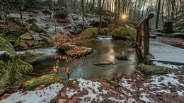 February morning / ***