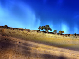 Light / ***