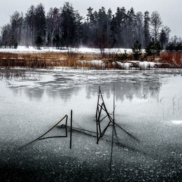   / Yestestvennaya arkhitektura