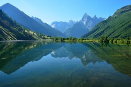 Morning on the lake / ***