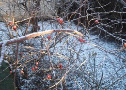 Winter schedule / ***