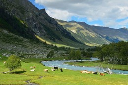 In the mountains / ***