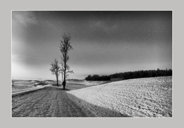 winter day / ***
