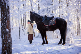 in the winter forest / ***