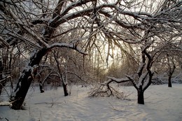 Cold morning / ***