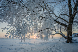 !!!!!!!!!!!!!! / """""""""""""