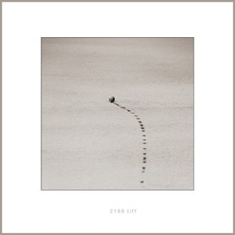 Trajectory / ***