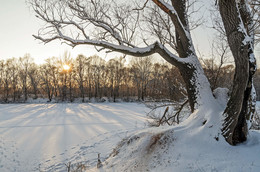 January evening / ***