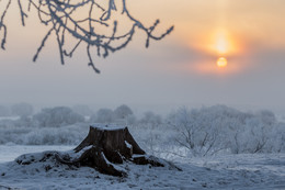 Encountering January dawn / !!!!!!!!!!!!