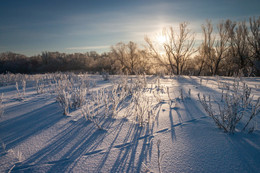 Frost and sun! / ...