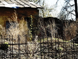 Backyard / 2015-05-07-130-C00-042(82)+C