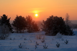 Winter dawn / ***