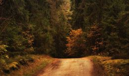 autumn / ***