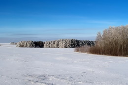 Winter landscape / ***