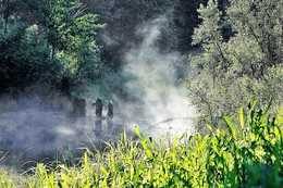Fog over the river / " " "