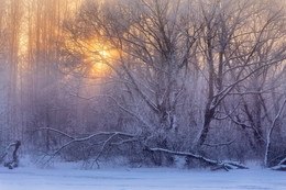 winter on a quiet backwater / ***