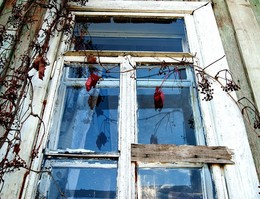 Window / ***