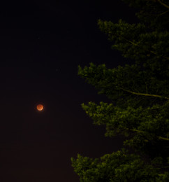 Lunar eclipse / 31.01.18