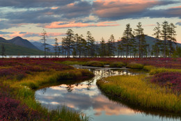 Evening of September / ***