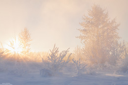 The Winter&#39;s Tale. / ***